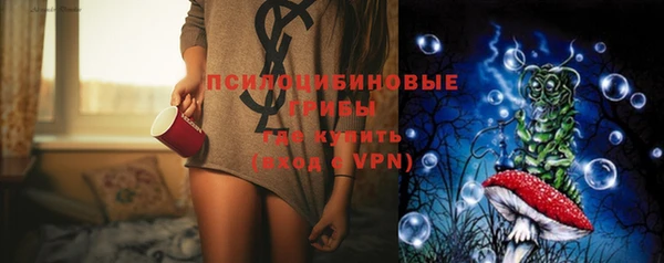 мдпв Михайлов