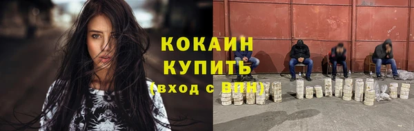 прущие грибы Мегион