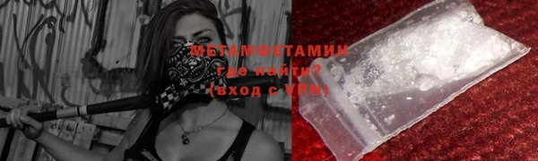 прущие грибы Мегион