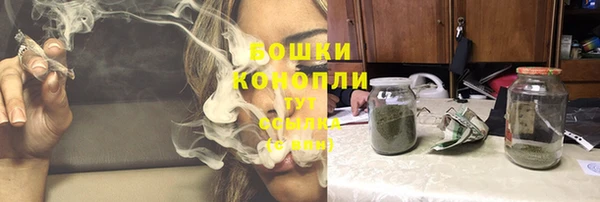 бошки Медногорск