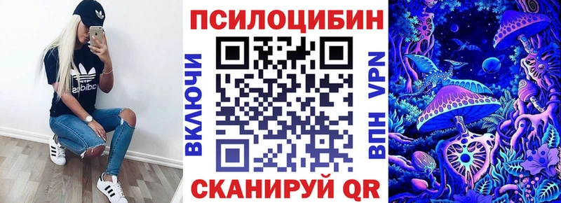 Купить закладки  Ленинск  Псилоцибиновые грибы мухоморы 